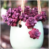 Cutie - Mediterranean Landscape- The Mob Collective